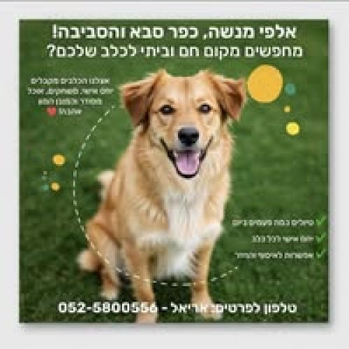 556694308_122100501261043160_3349790723566325118_n